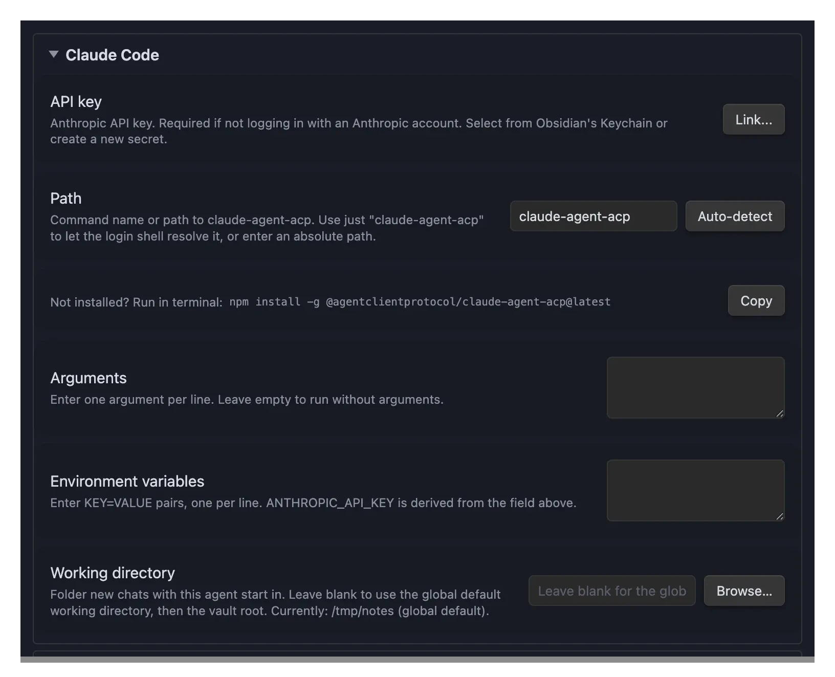 Agent Console settings showing the Claude Code section with API key, path, and Auto-detect controls