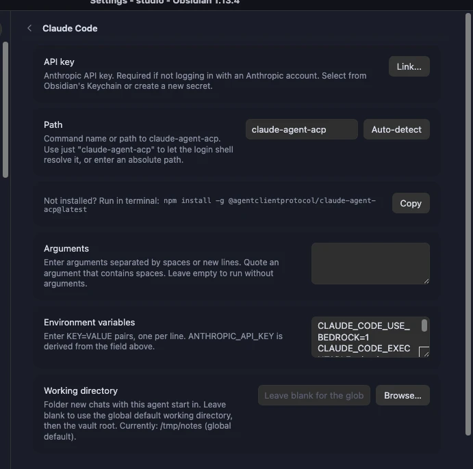 Claude Code settings sub-page with API key, path and Auto-detect, arguments, and environment variables